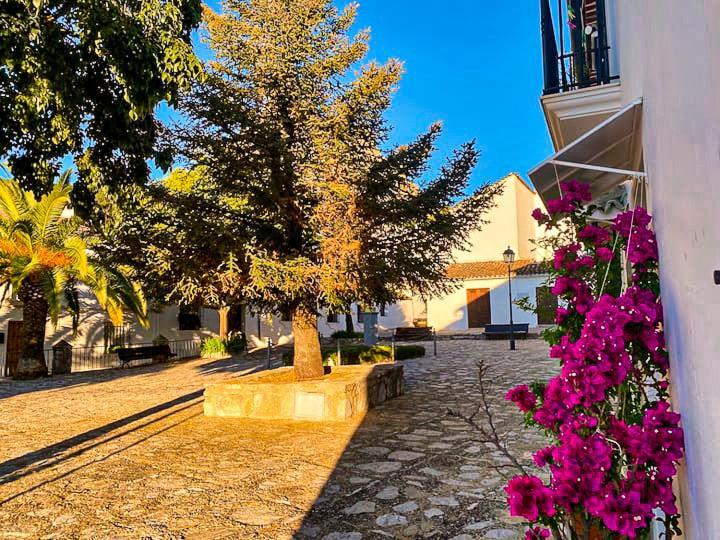 Villa Grazalema - Casita La Calma - Incredible Views, Clima Frio-Calor, Wifi & Private Parking Optional Extérieur photo